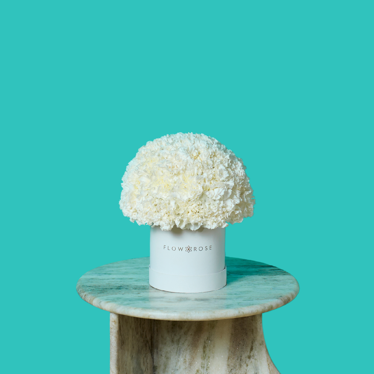 White Carnation