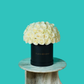 White Rose