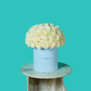White Rose