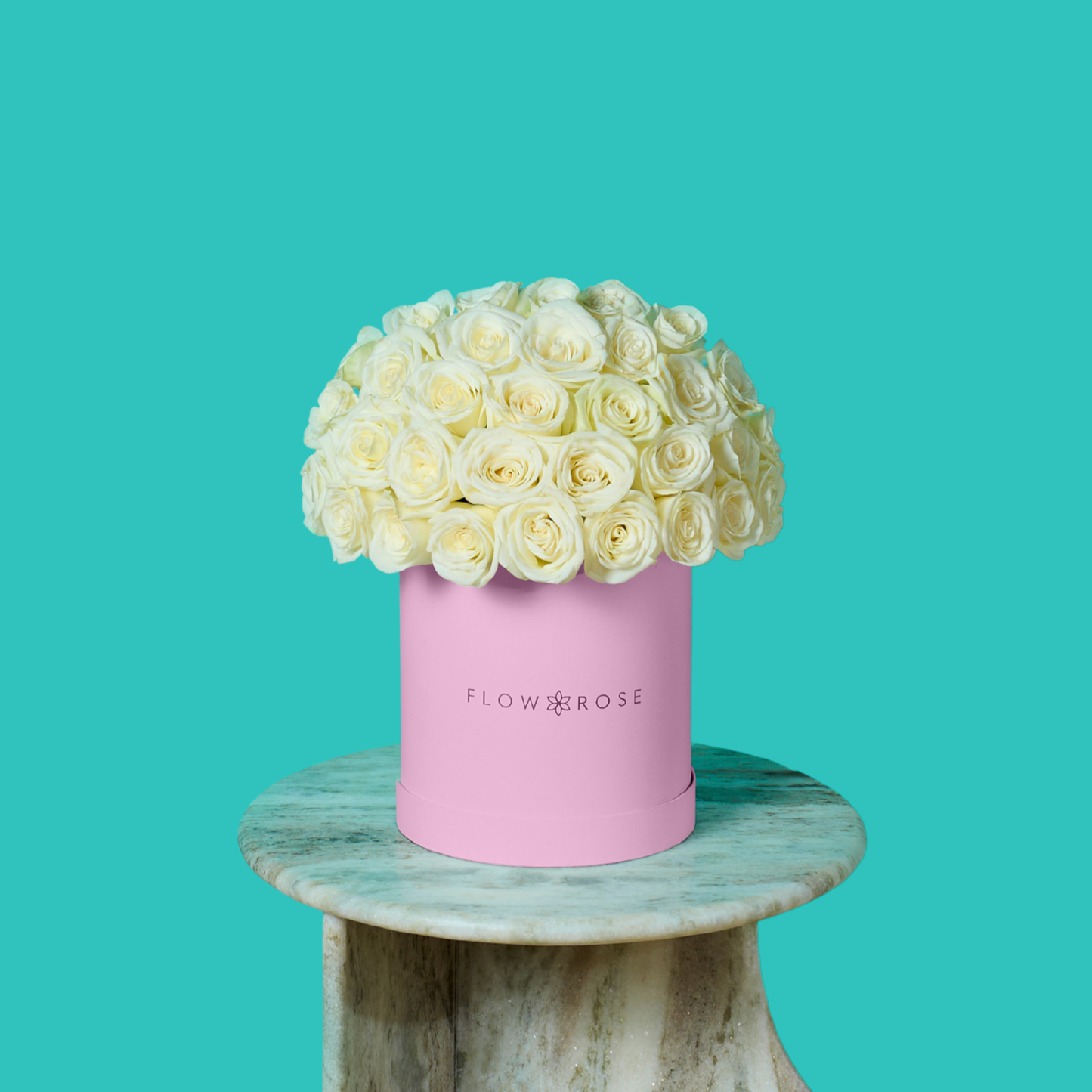 White Rose
