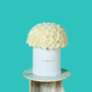 White Rose