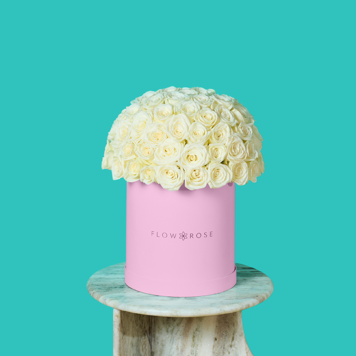 White Rose
