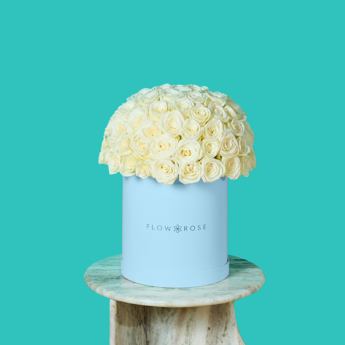 White Rose