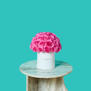 Pink Rose