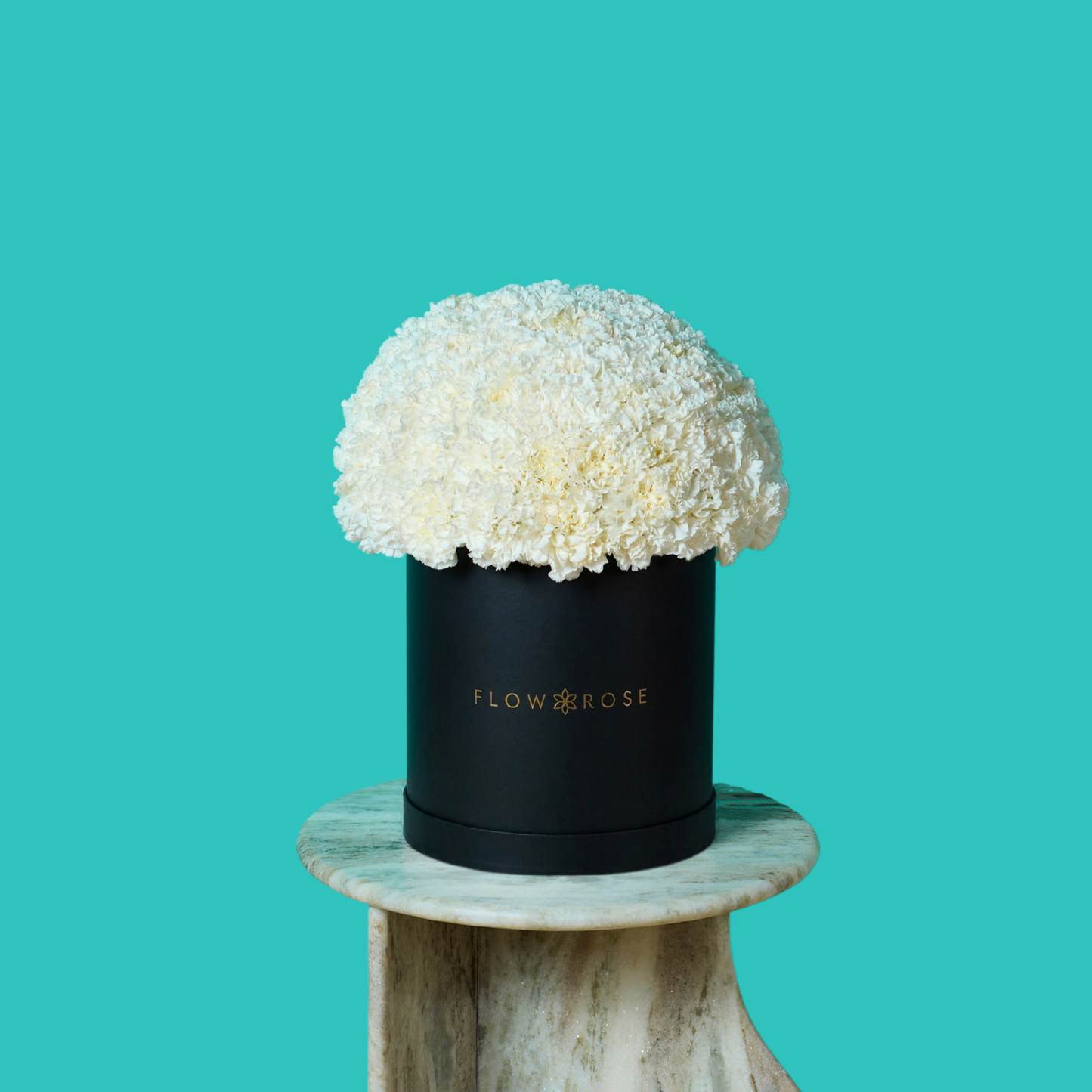 White Carnation