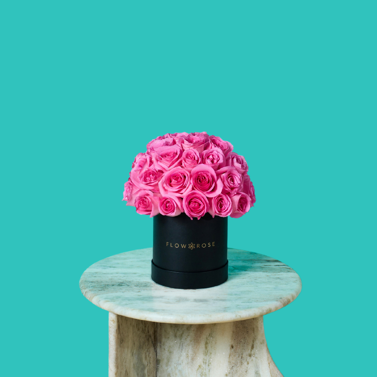Pink Rose