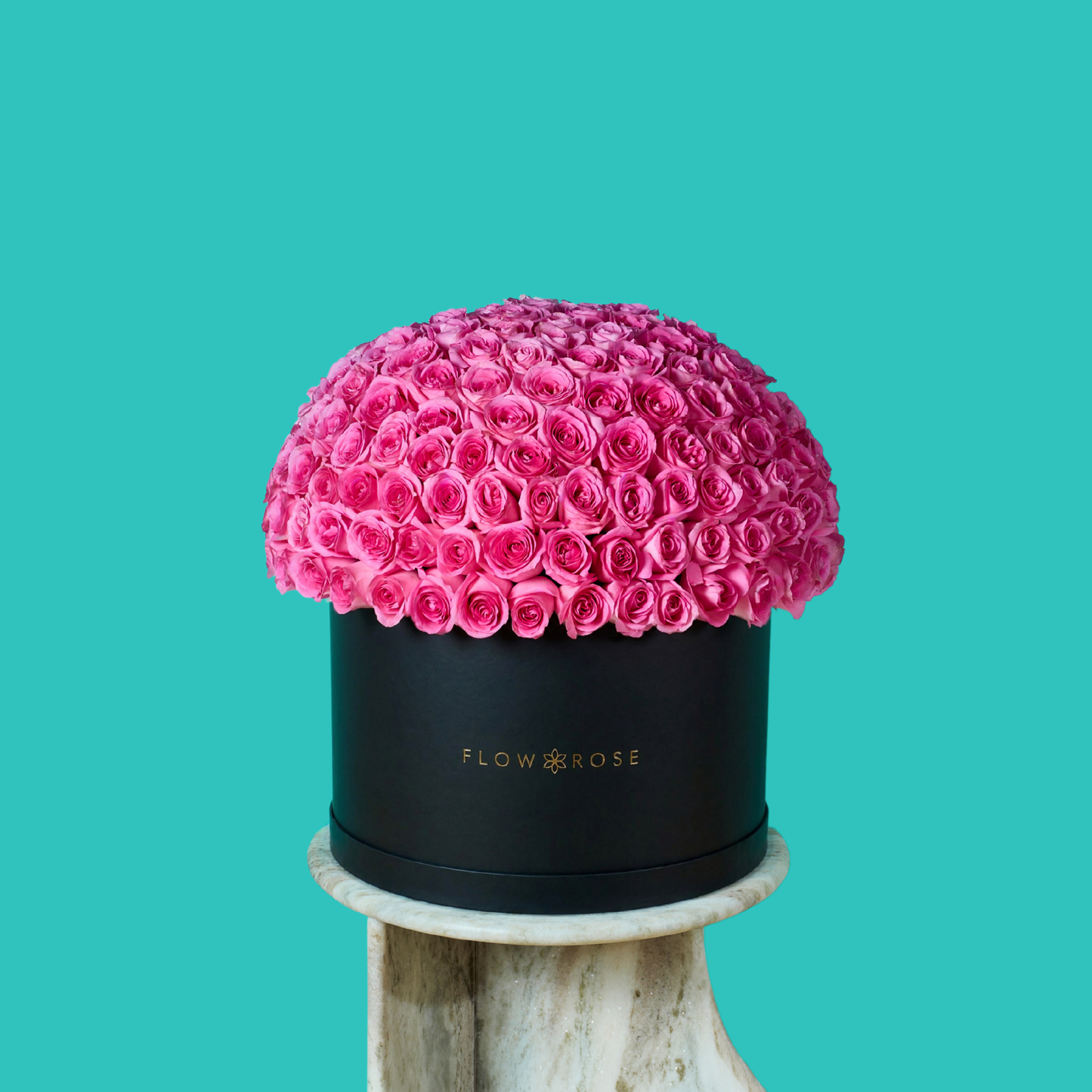 Pink Rose