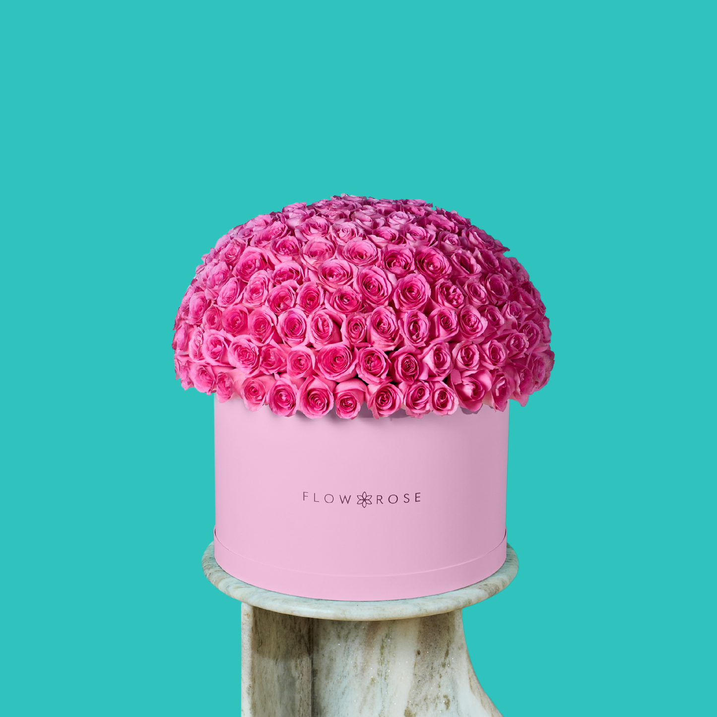 Pink Rose