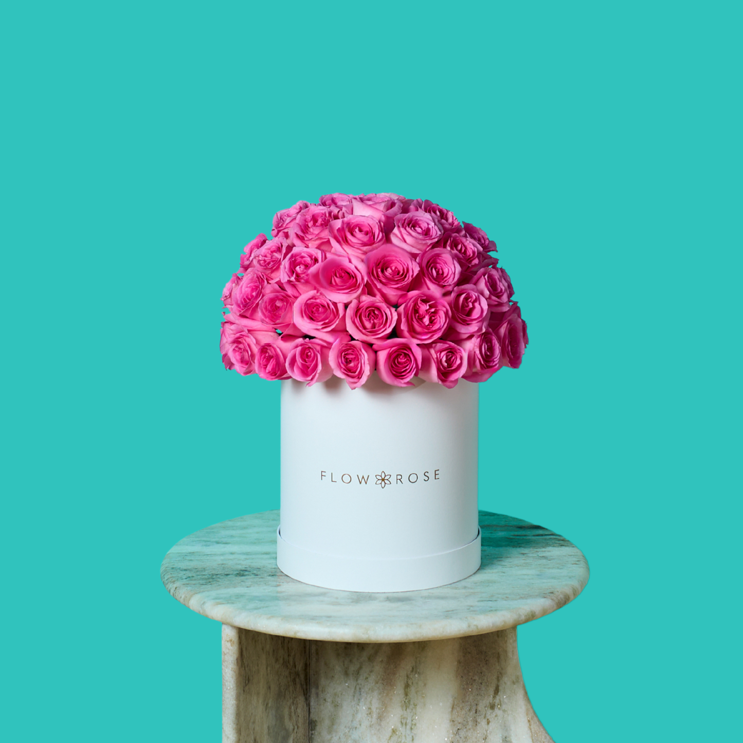 Pink Rose