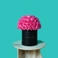 Pink Rose