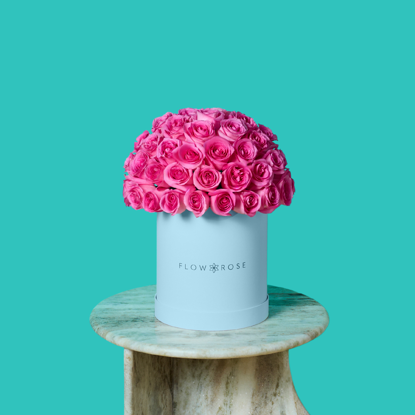 Pink Rose