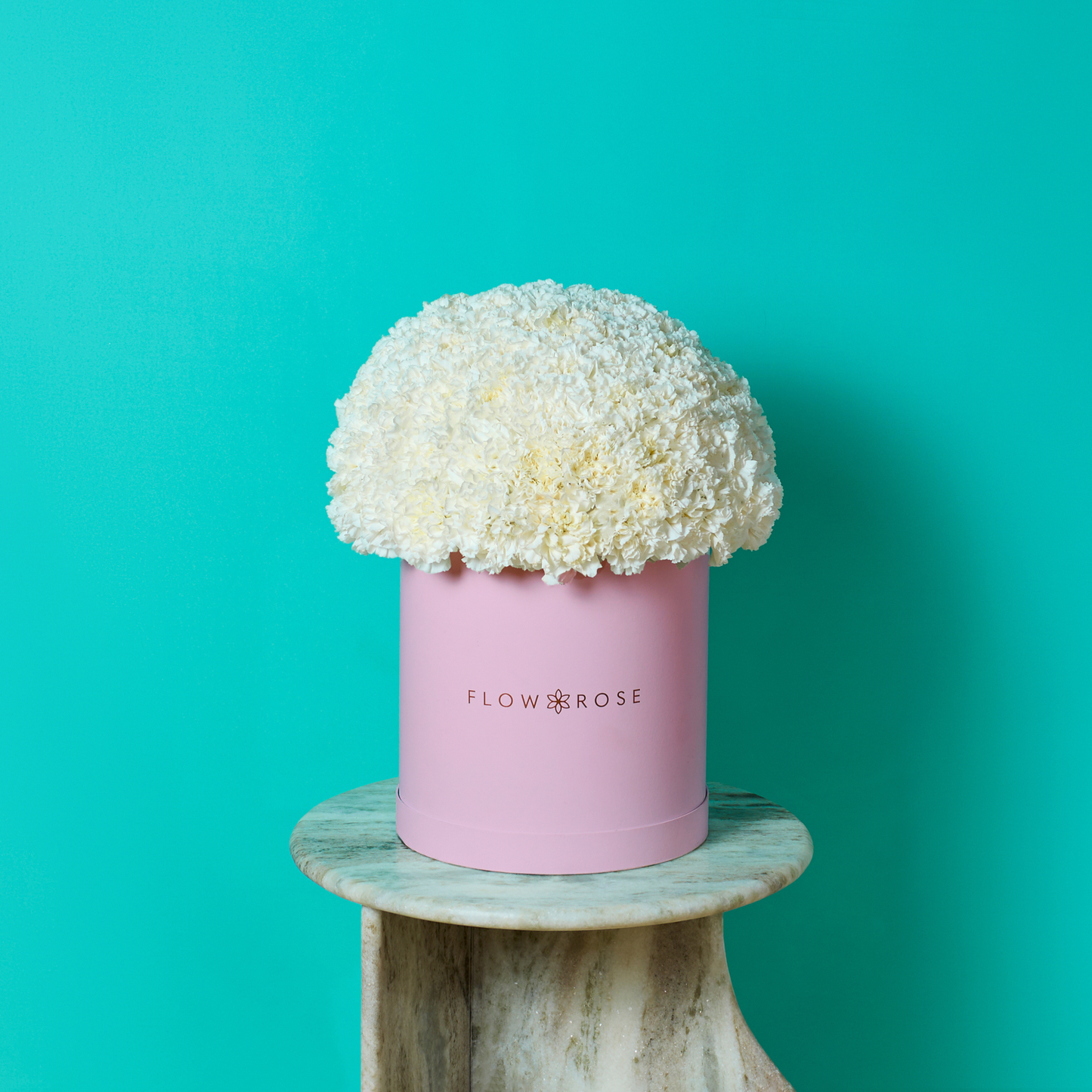 White Carnation