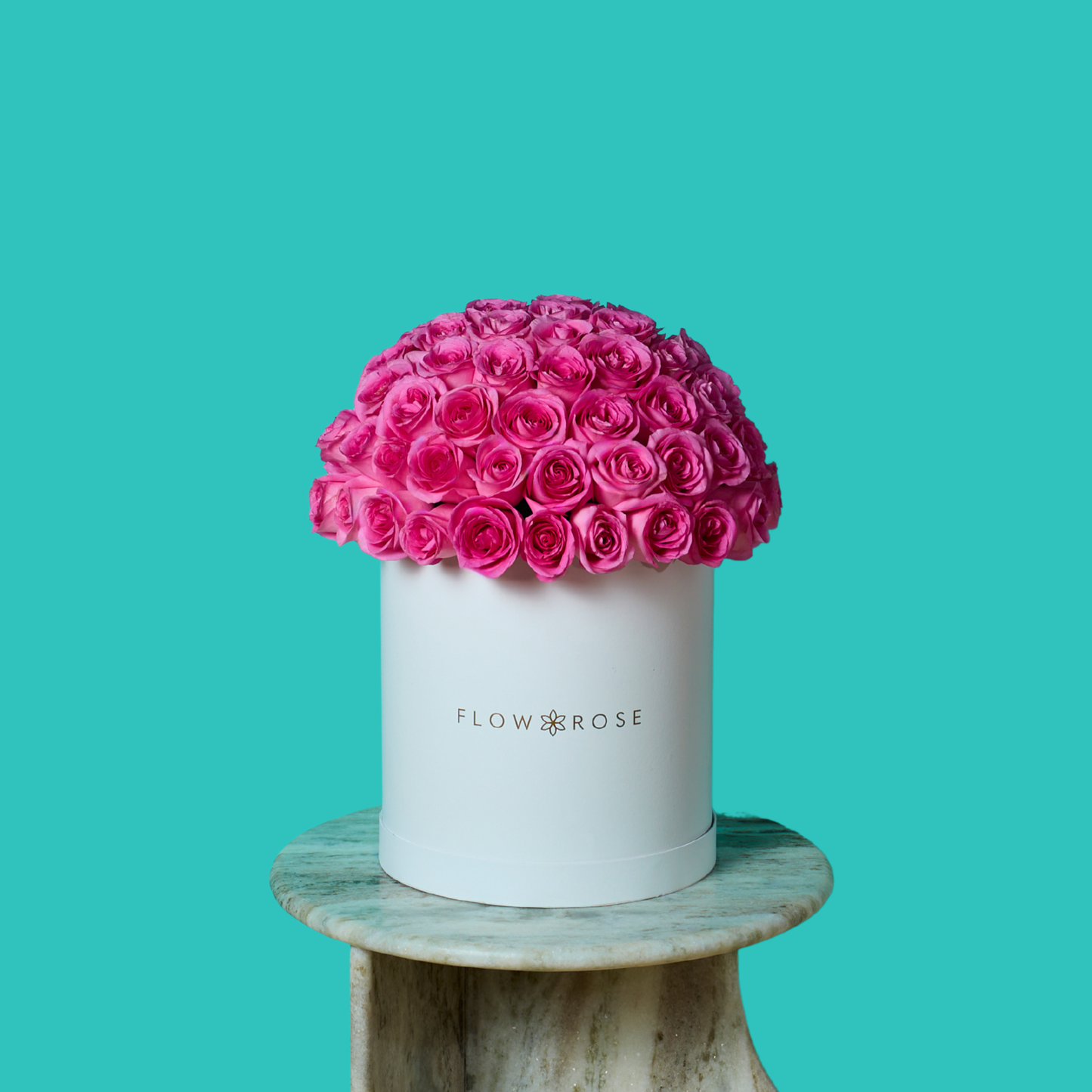 Pink Rose