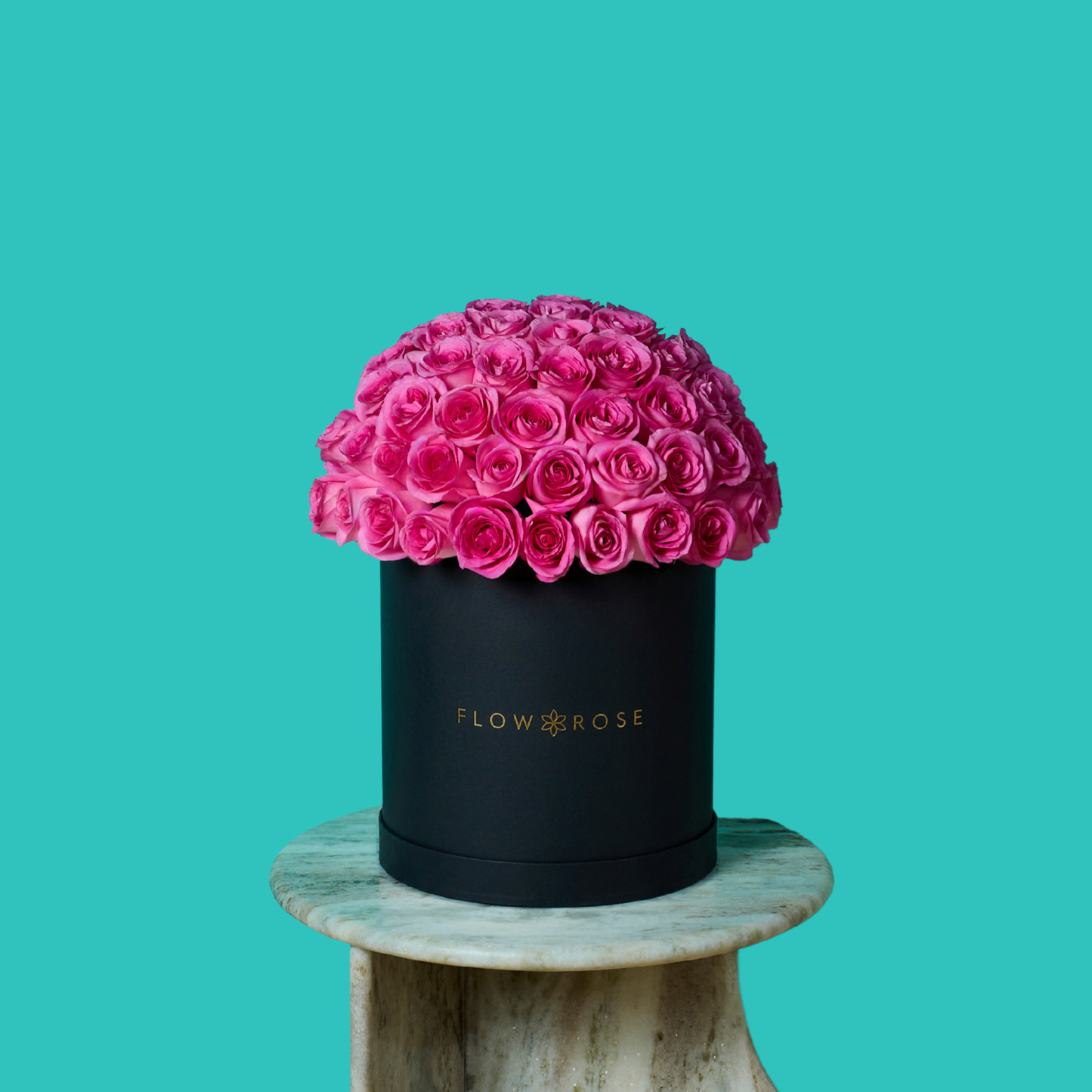 Pink Rose