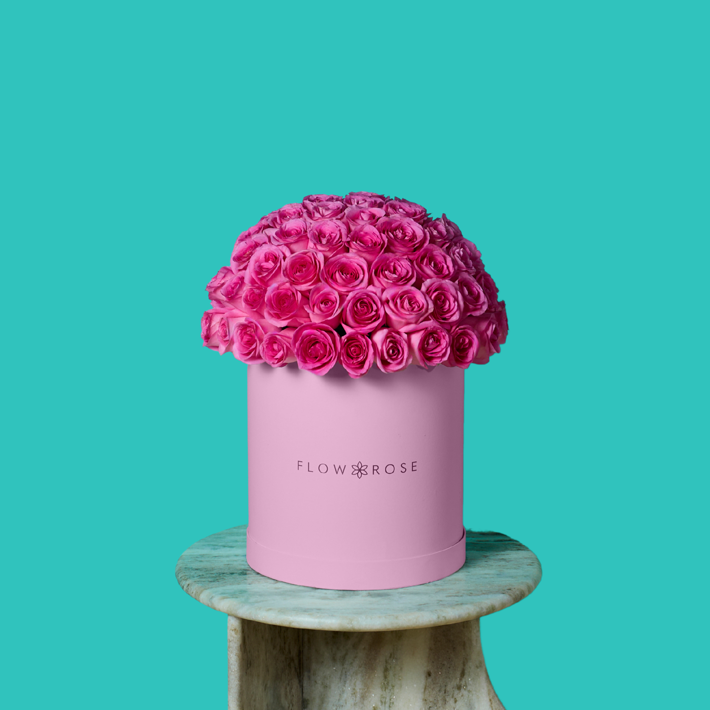 Pink Rose