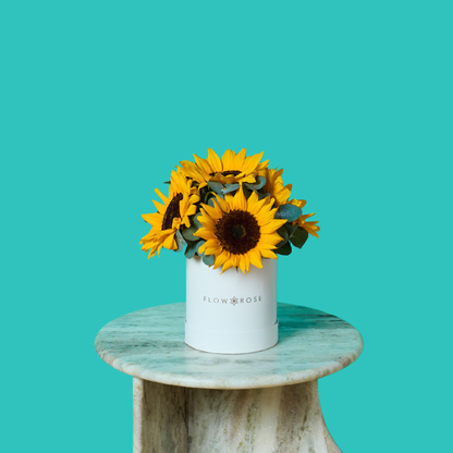 Sunny Sunflower