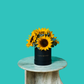 Sunny Sunflower