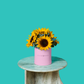 Sunny Sunflower