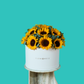 Sunny Sunflower