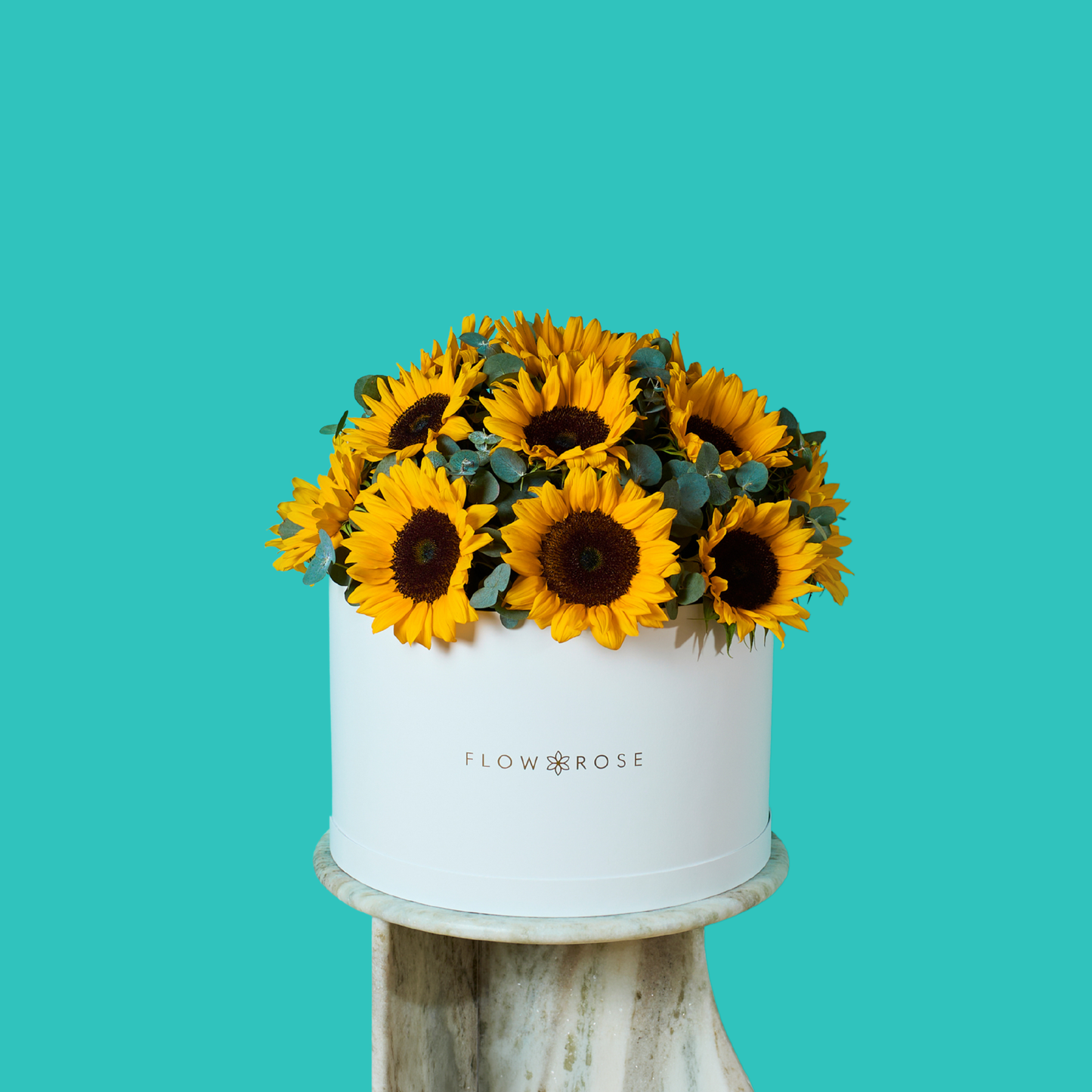 Sunny Sunflower