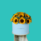 Sunny Sunflower