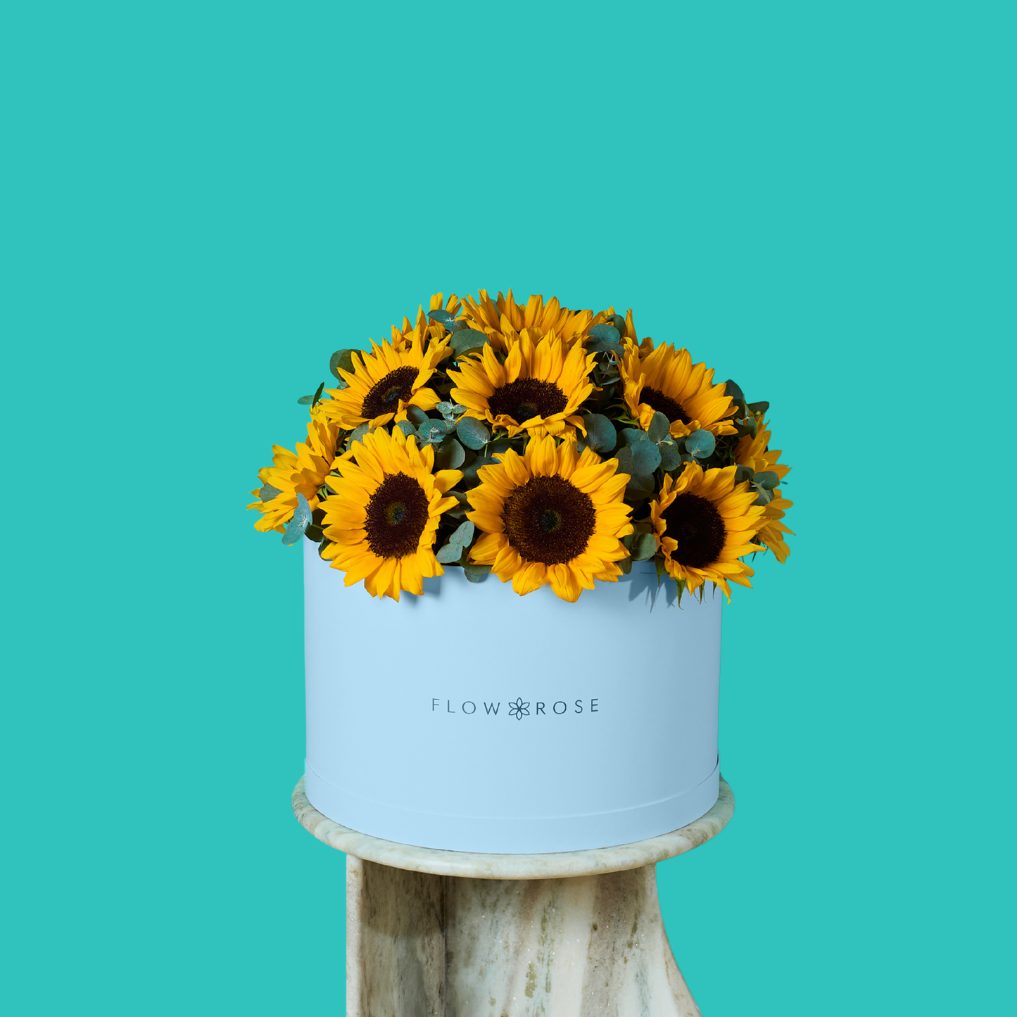 Sunny Sunflower