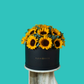 Sunny Sunflower