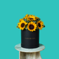 Sunny Sunflower