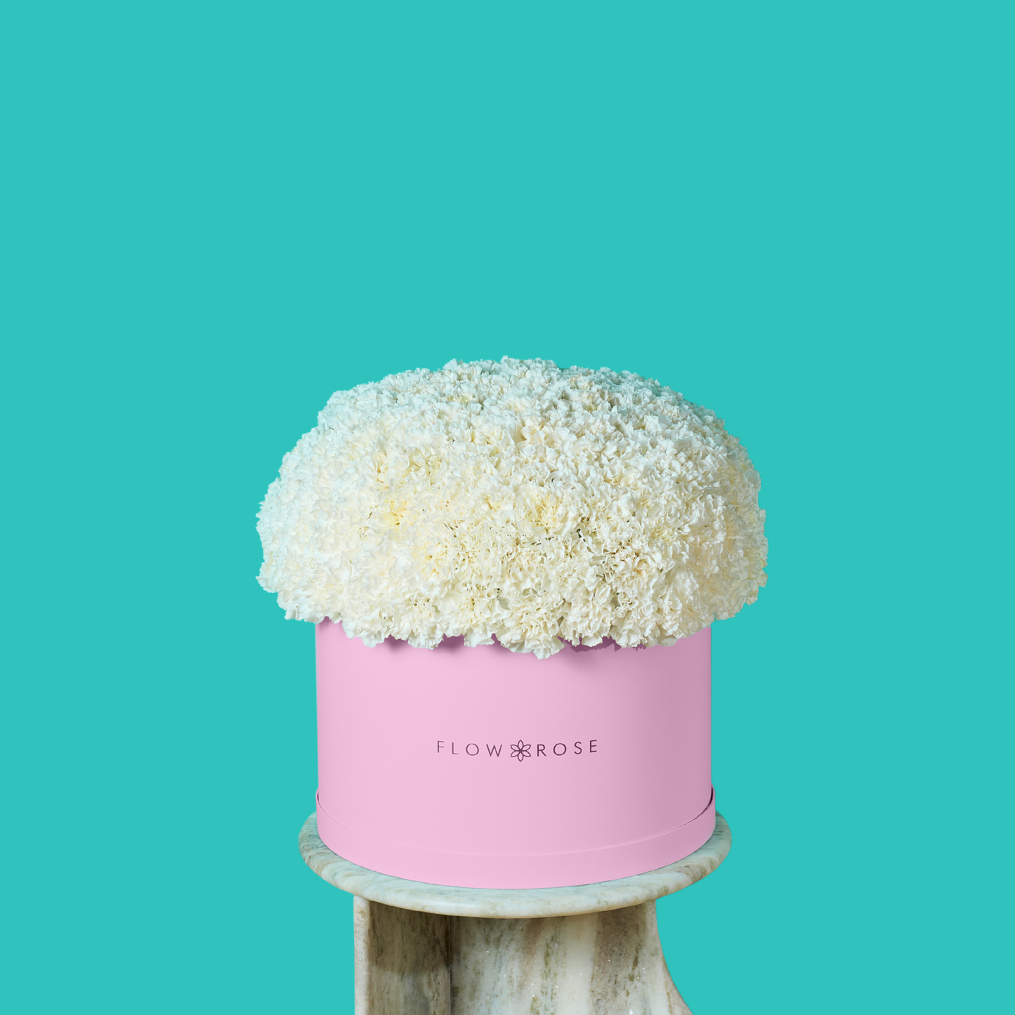 White Carnation