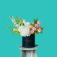 Healing Blooms