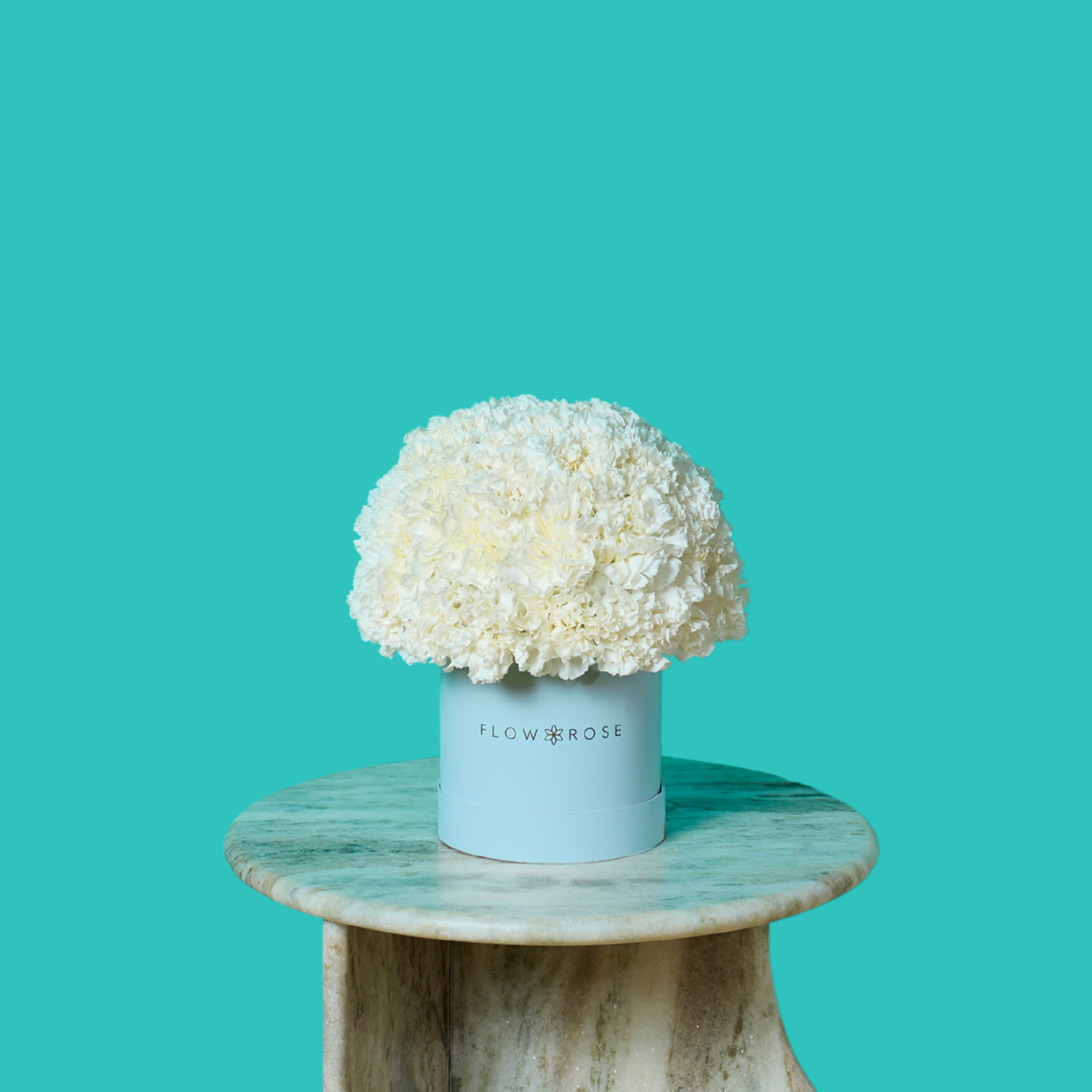 White Carnation
