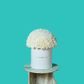 White Carnation