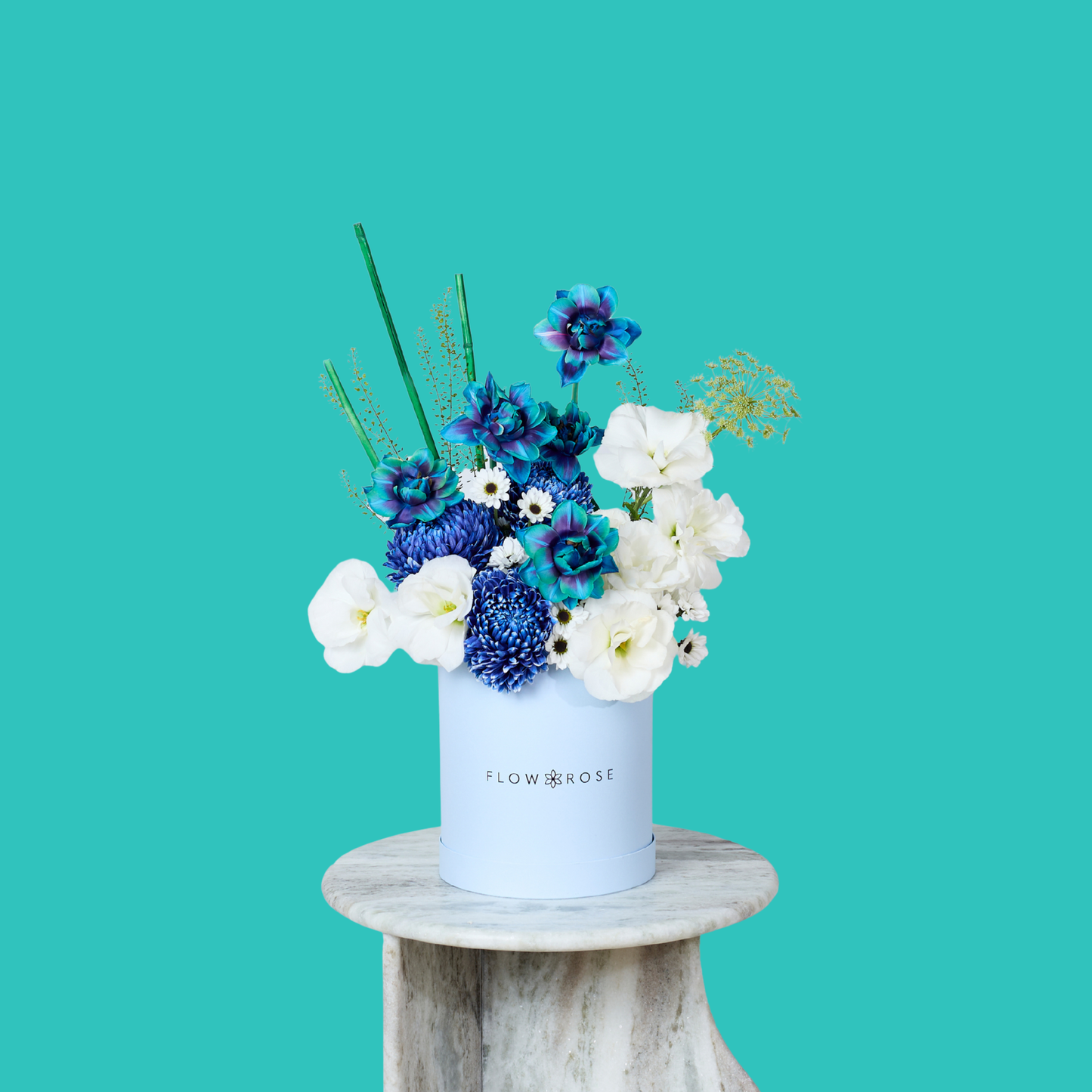 Miracle Bleu