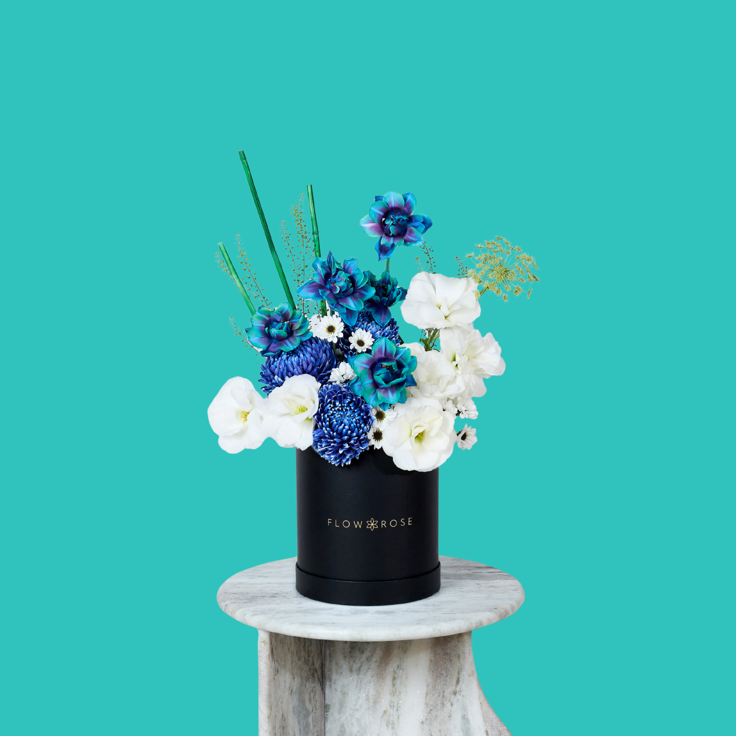 Miracle Bleu