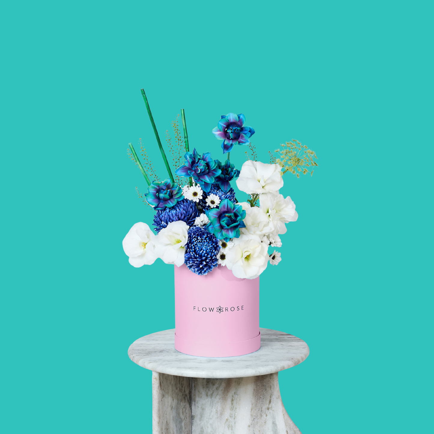 Miracle Bleu