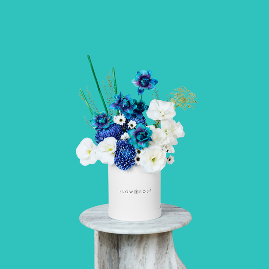Miracle Bleu