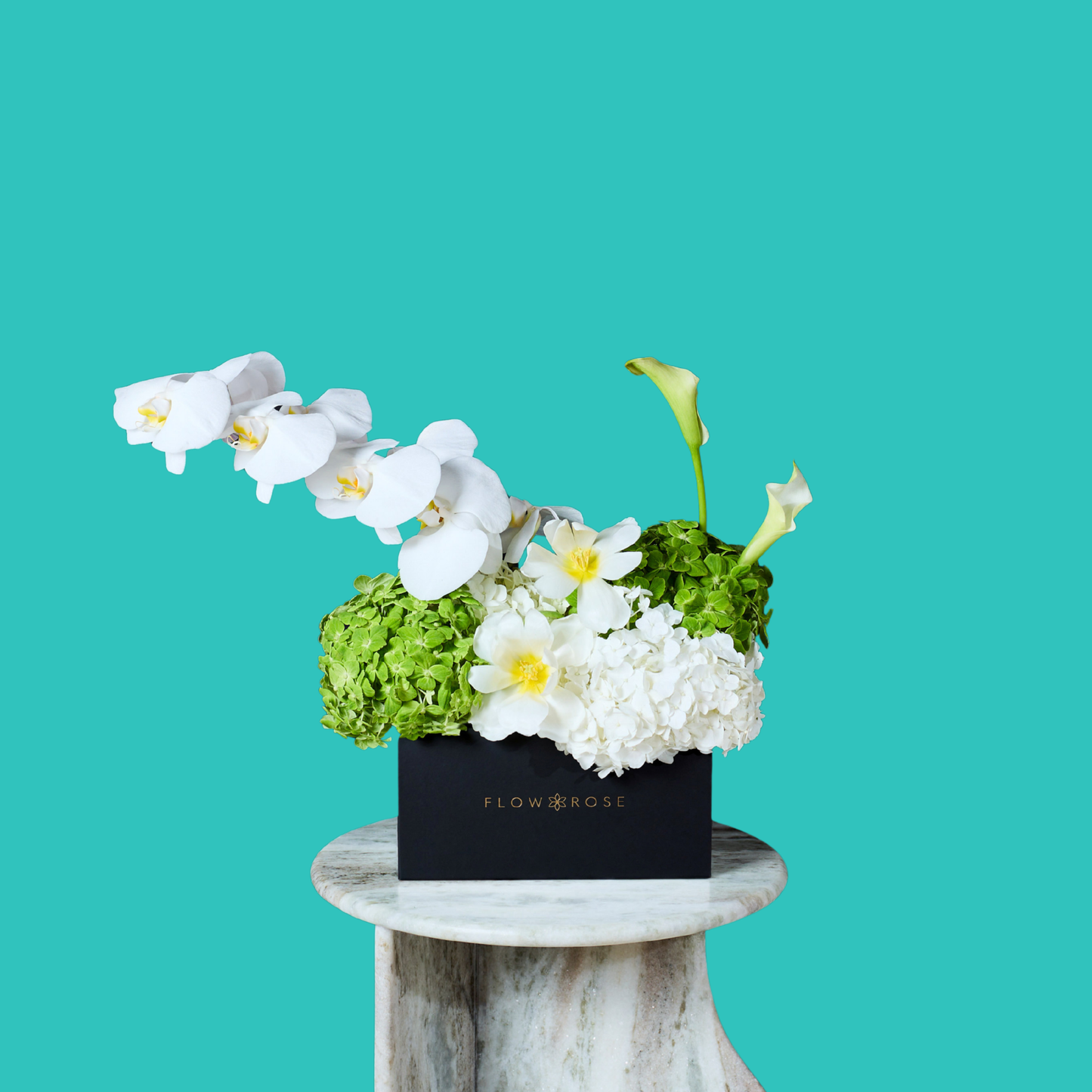 Orchidée Blanche