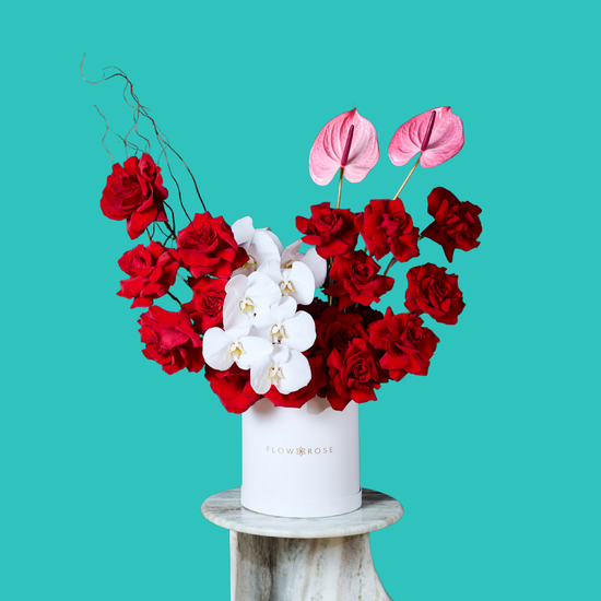 Sophisticated Orchid