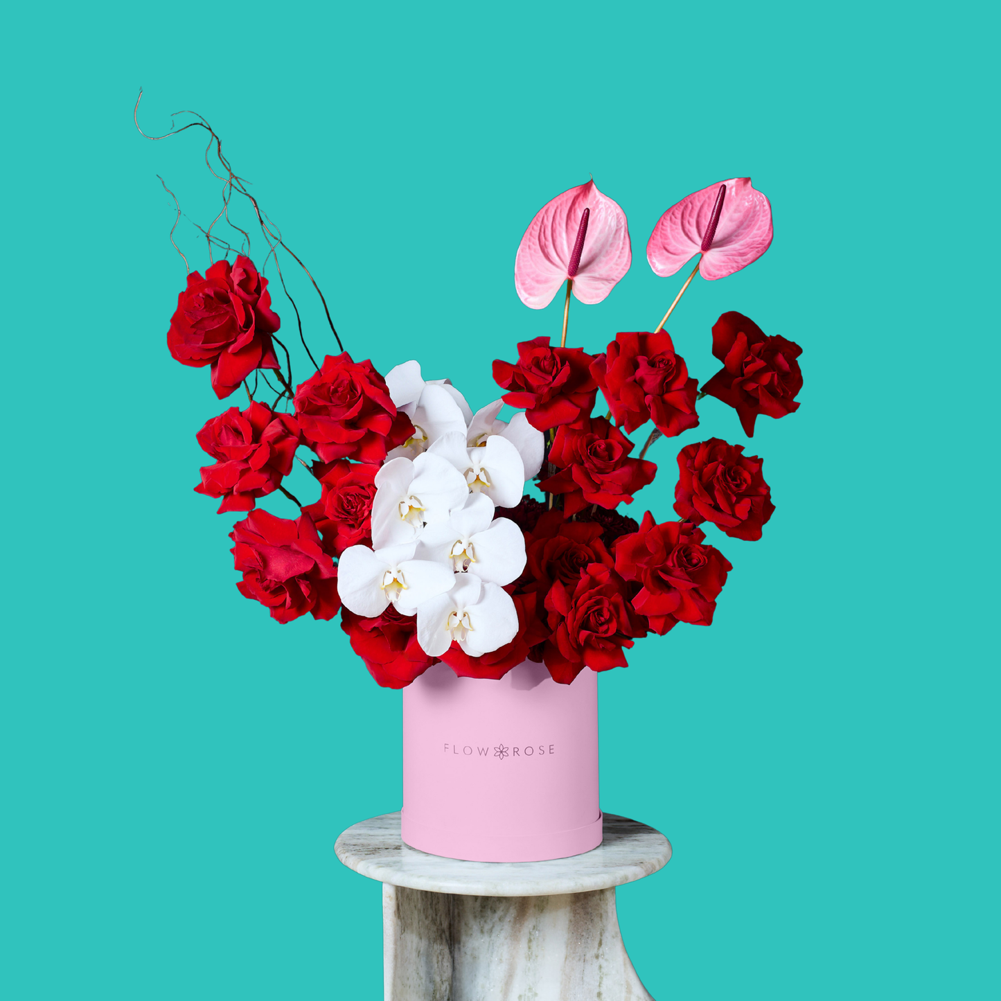 Sophisticated Orchid
