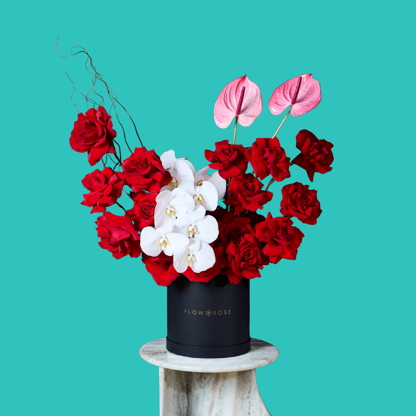 Sophisticated Orchid