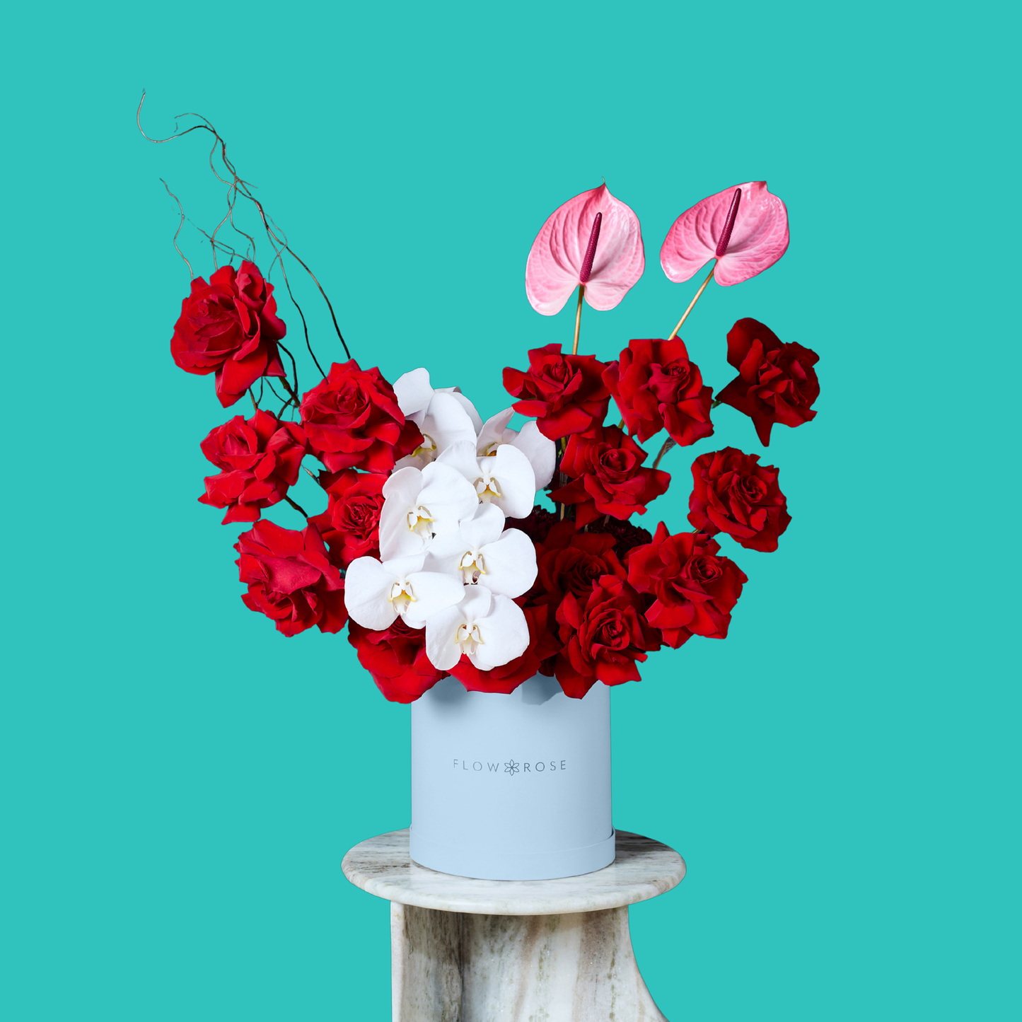 Sophisticated Orchid