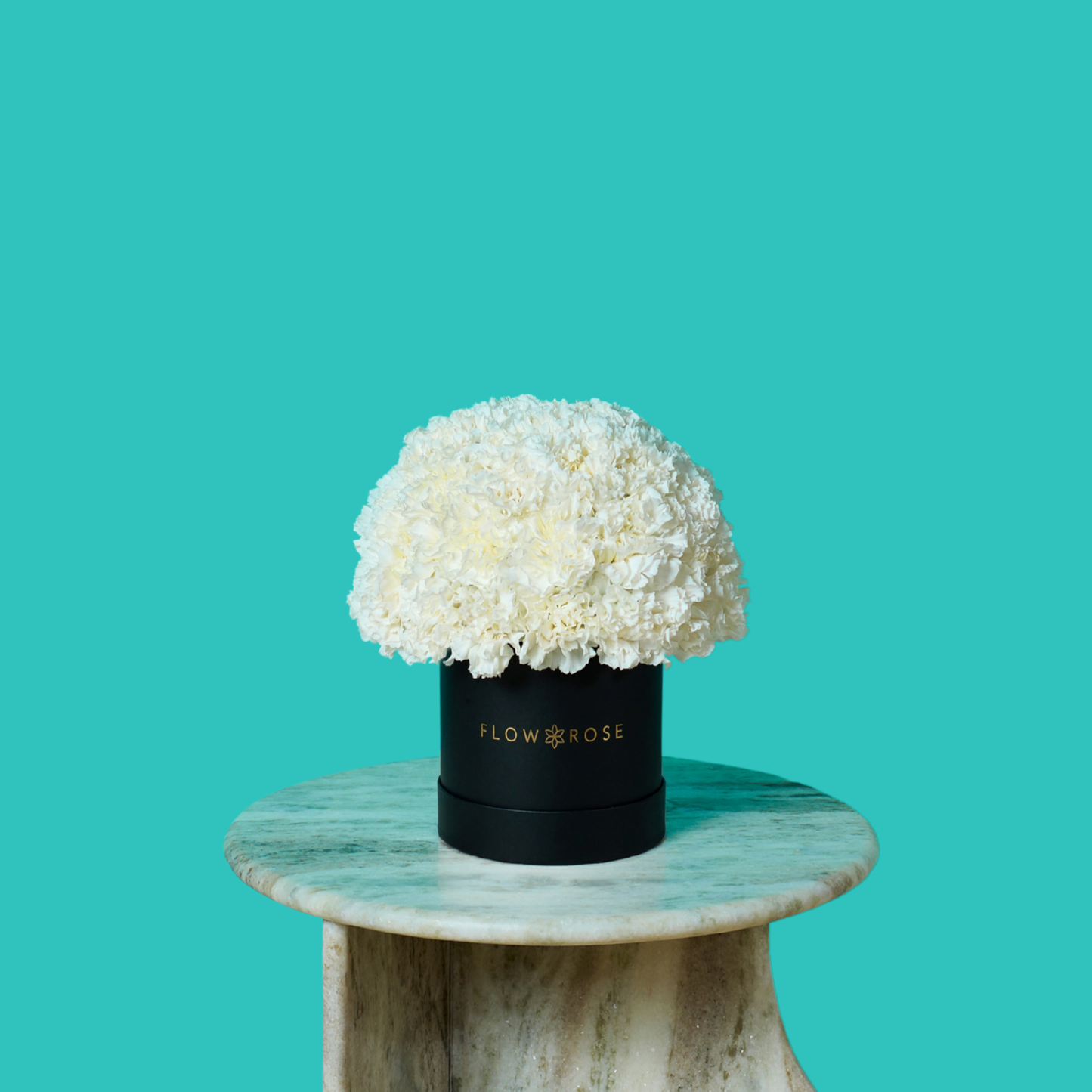 White Carnation