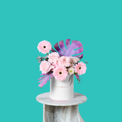 Cotton Candy