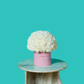 White Carnation