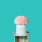 Pink Carnation