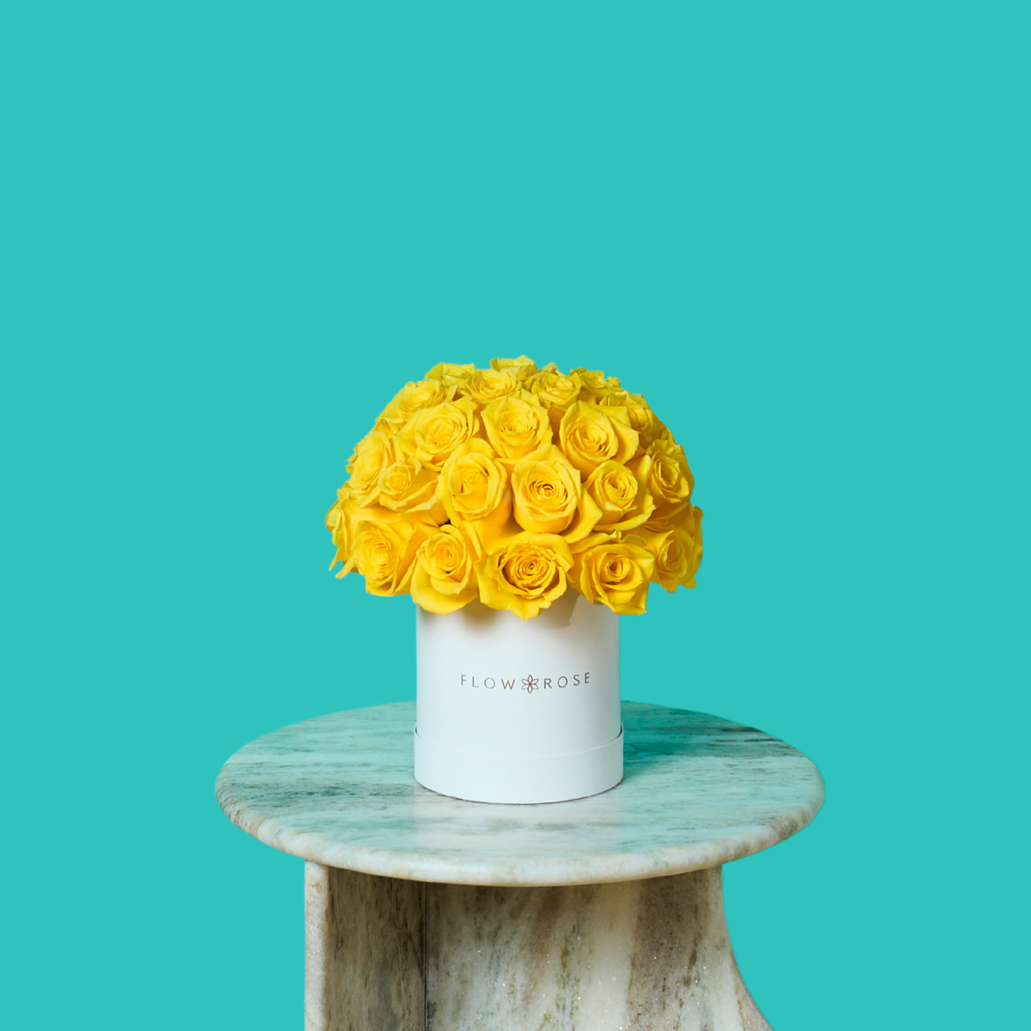 Yellow Rose