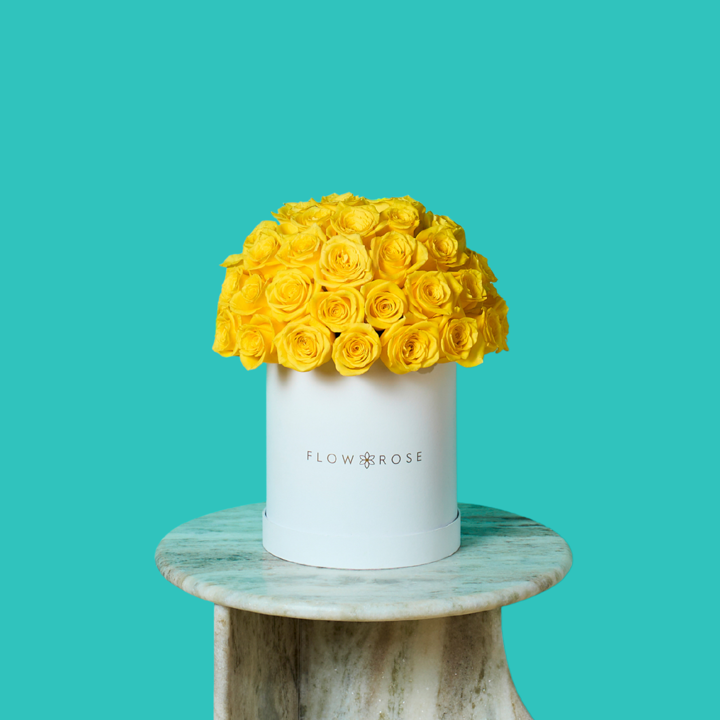 Yellow Rose