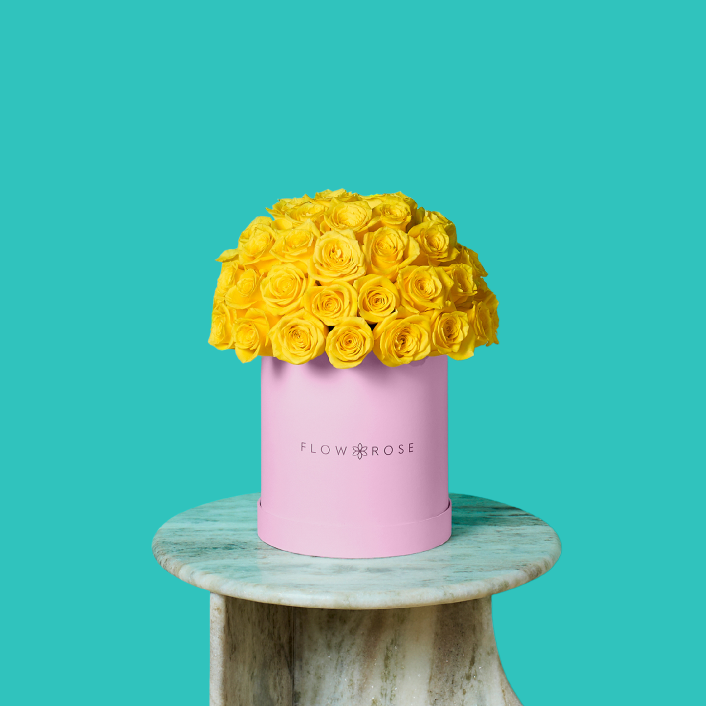 Yellow Rose