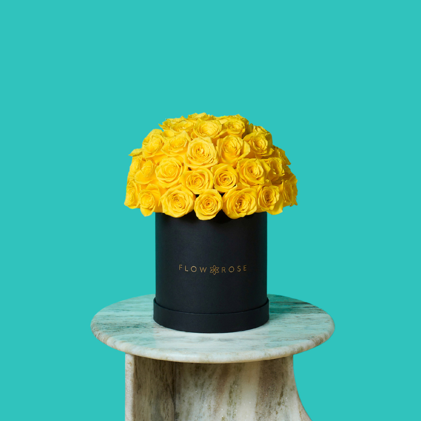 Yellow Rose
