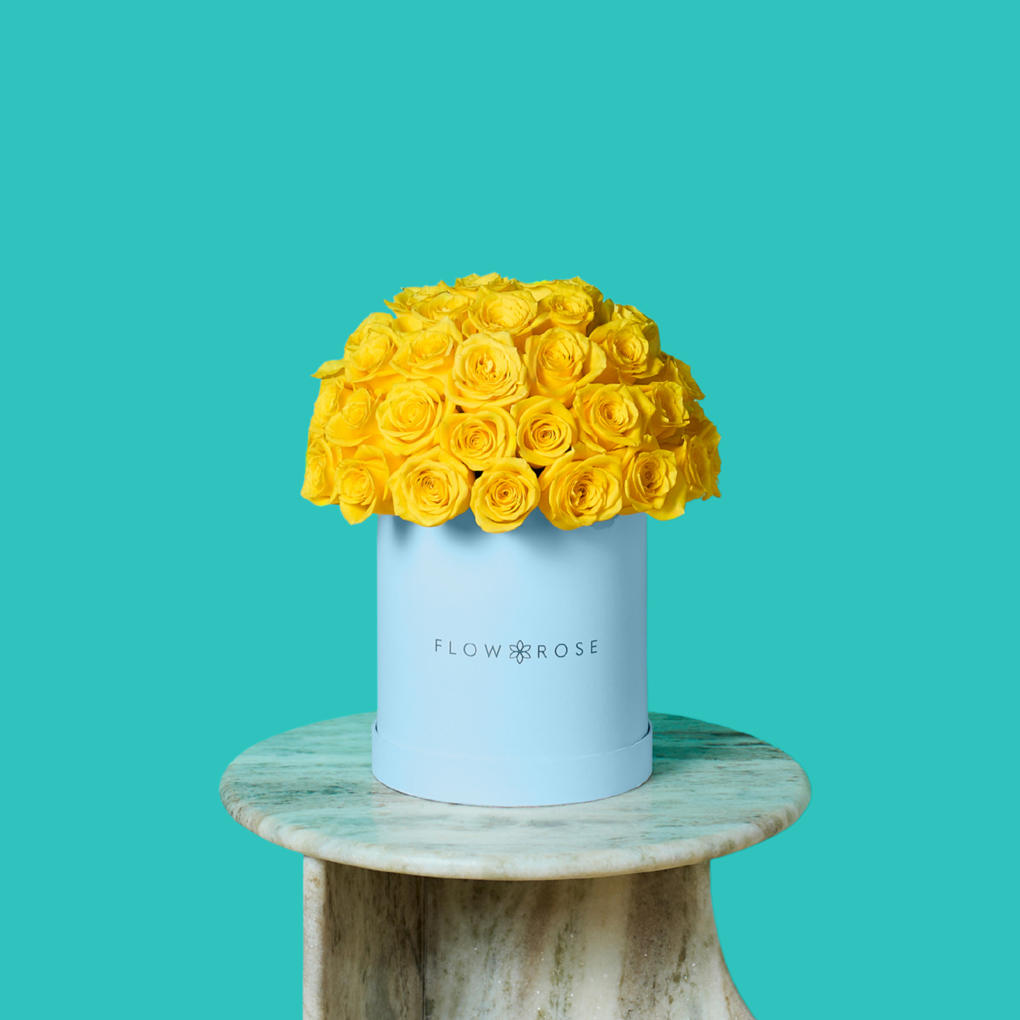 Yellow Rose